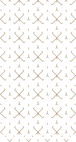 sanaya-home-background